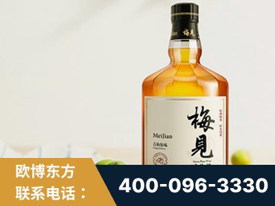 锡林浩特-梅见青梅酒